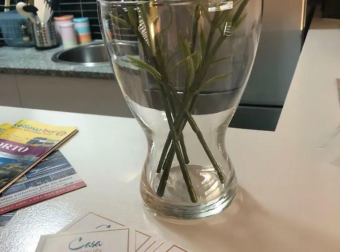 Apartamento Casa Marques